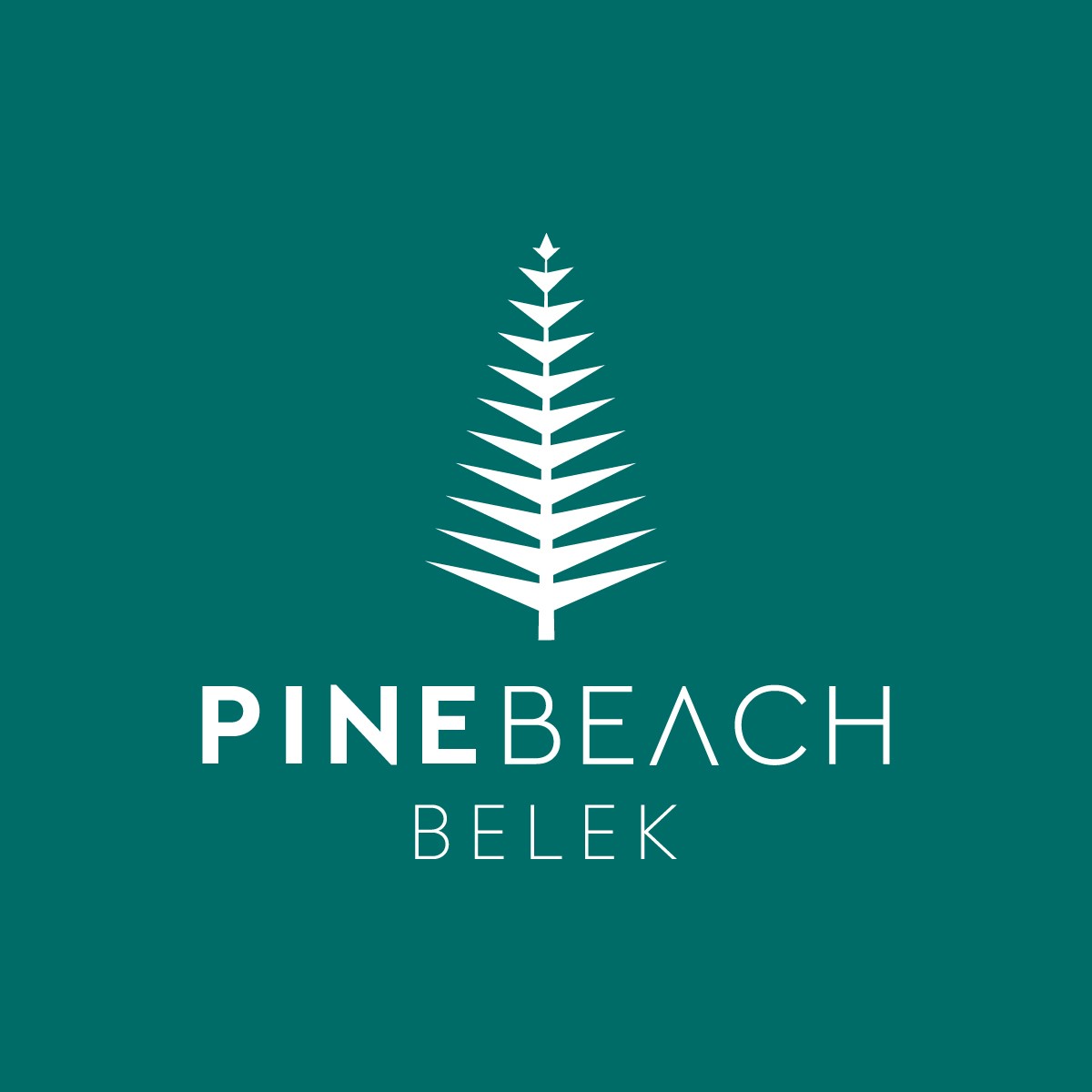 Logo des Pine Beach Hotels